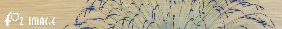 Fozimage � Masthead - Fireworks